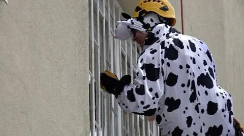 Alpiniści zjechali z dachu w przebraniach, by sprawić radość dzieciom ze szpitala