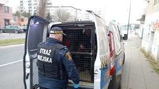 Próbowali włamać się do zabytkowego budynku