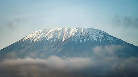 shutterstock_2445861655