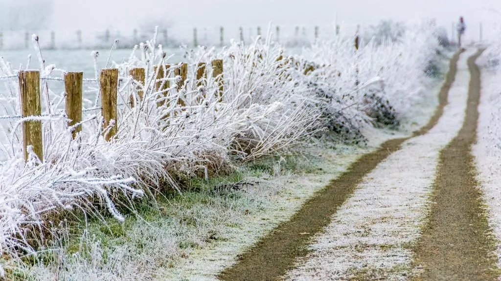 W święta chwyci tęgi mróz. Ile stopni będzie