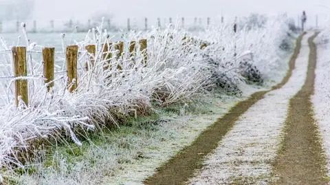 Mróz, zimno