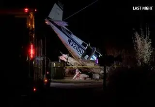 Zawiniła zabrudzona szyba? Tylko pies przeżył katastrofę samolotu