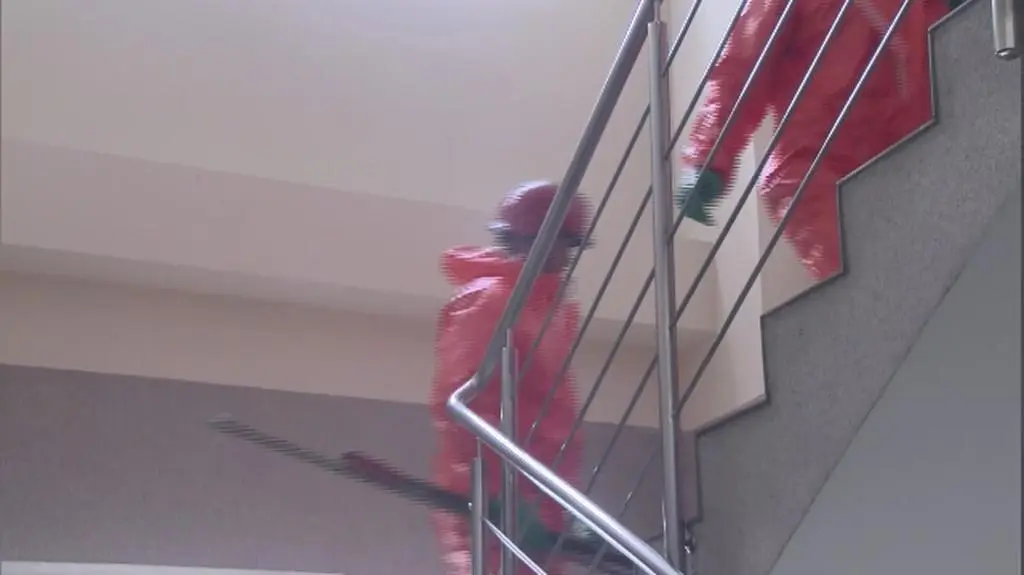 Materiał "Faktów po południu" TVN24