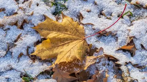 Śnieg, pierwszy śnieg, jesień