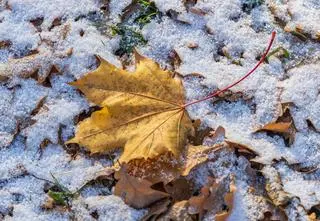 Wir polarny jest silnie zaburzony. Kiedy spadnie śnieg?