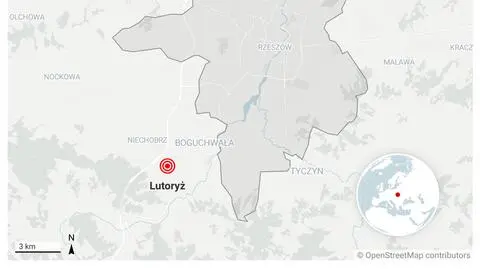 Lutoryż