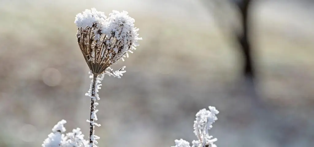 Nie tylko ulewy. Nadciąga spore ochłodzenie. W górach może sypnąć śniegiem