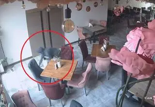 Był klientem, po kilku dniach włamał się do kawiarni