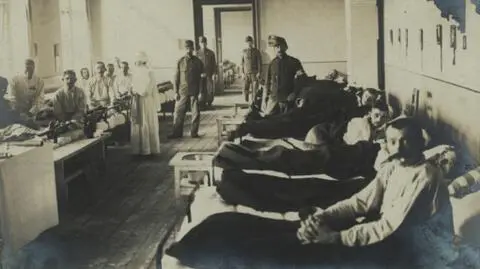 Tyfusowa Mary, czyli jak lody brzoskwiniowe wywołały epidemię