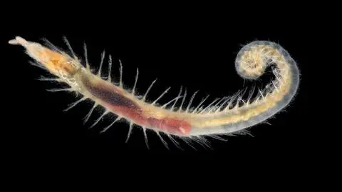 AdobeStock_1348349684