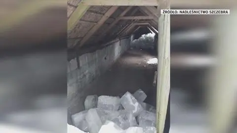 Klatka kluczowa-237574