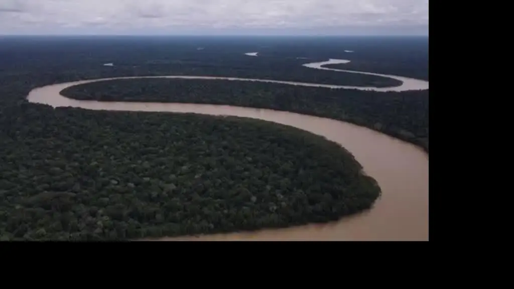 amazonia