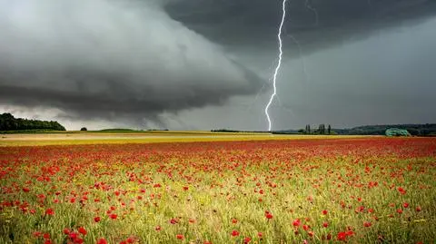 Burza