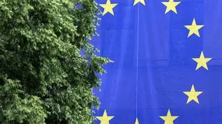 Jak będzie wyglądał układ w europarlamencie?