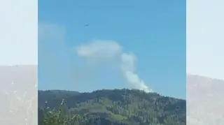 Pożar lasu w Wilkowicach
