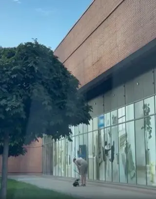 Właściciel kopnął psa w Świdnicy
