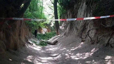 Na dzieci w wąwozie spadła gałąź