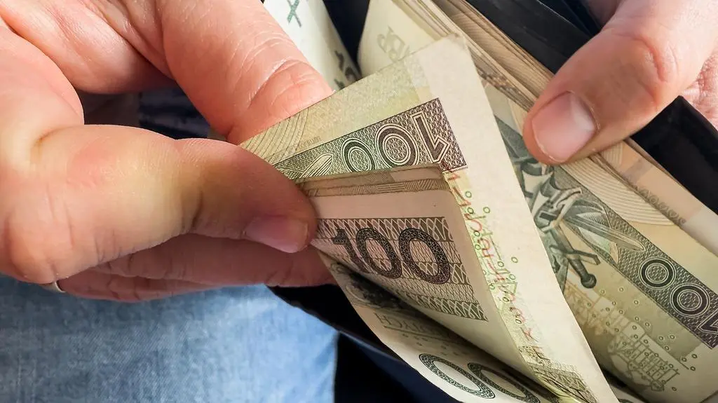 shutterstock_2464301117