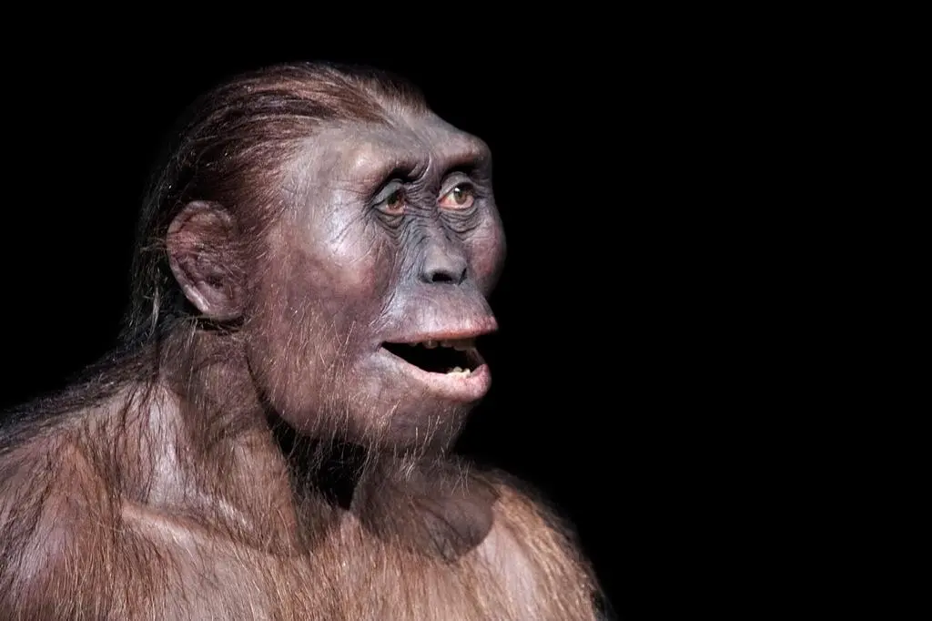 Australopitek 