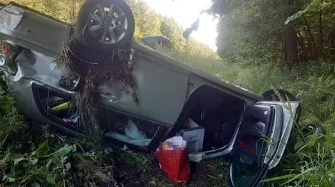 Jeden samochód wyprzedzał, drugi omijał martwe zwierzę. Doszło do dachowania
