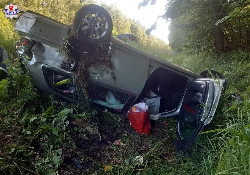 Podlodów. Jeden samochód wyprzedzał, drugi omijał zwierzę. Doszło do ...