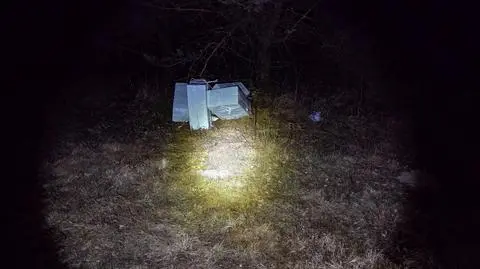 Na polanę spadł balon 