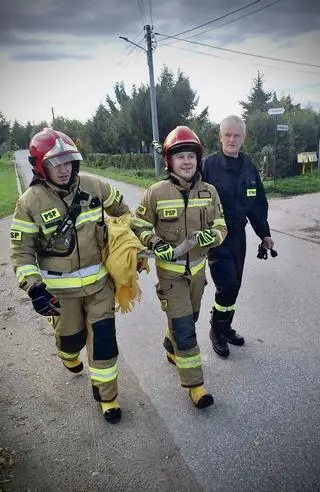 W interwencji uczestniczyli policjanci i strażacy