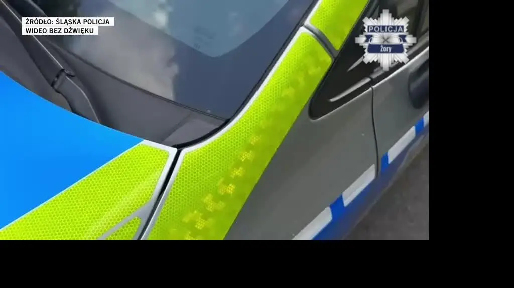 śląska policja