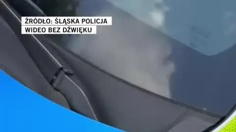 śląska policja