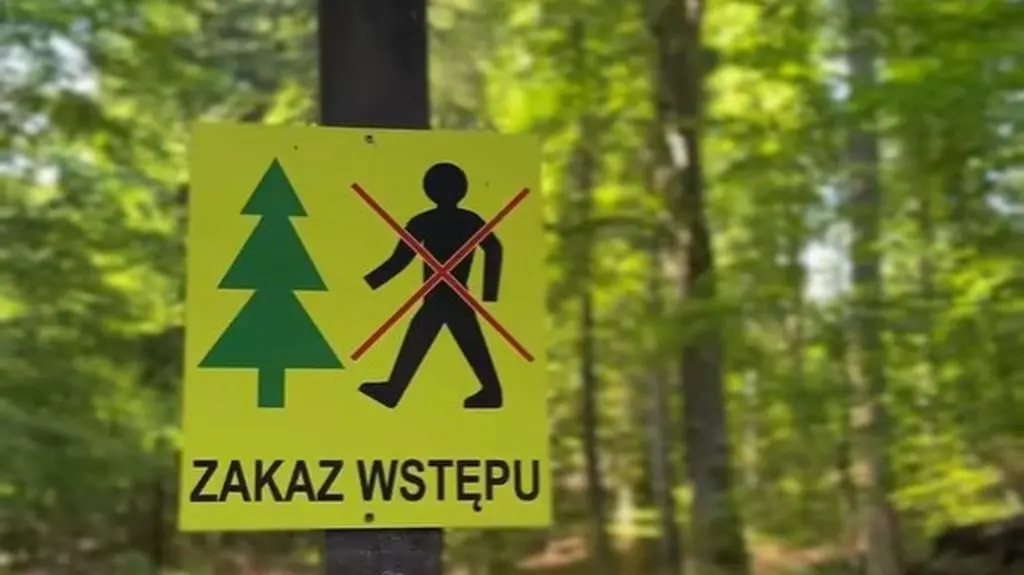 Zakaz wstępu do lasu 