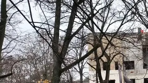 VID_20241211_124045104