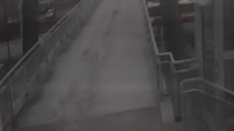 MONITORING_CAŁOŚĆ_PAULA