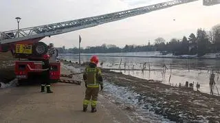 Uwolnili łabędzia przymarzniętego do lodu, ale musiał zostać uśpiony