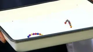 Magnetyczne kulki, które połknęła 4,5-letnia pacjentka szpitala w Gliwicach