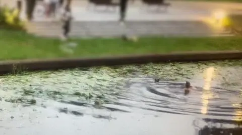 Kobieta uratowała małe kotki wyrzucone do rzeki