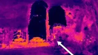 Dzięki dronowi z termowizją udało się odnaleźć mężczyznę na polu