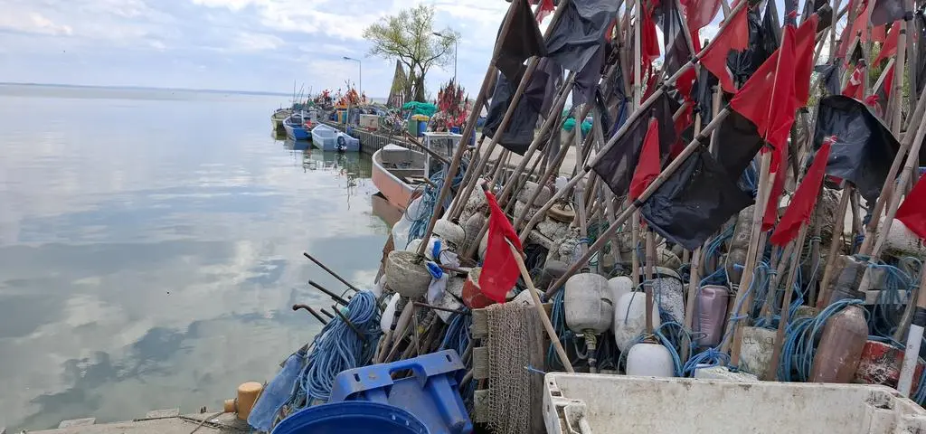 Tajemnicza choroba po zjedzeniu ryby z Zalewu Wiślanego. Co trzeba o niej wiedzieć?