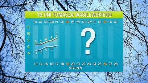 wasyl 16