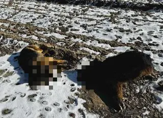 Sprawę wyjaśnia policja