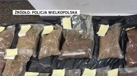  Policja Wielkopolska