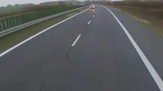 Jazda pod prąd na S10