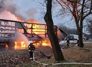 Tragedia na krajowej "ósemce"