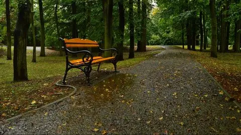 Jesień, deszcz, deszczowo, liście, park