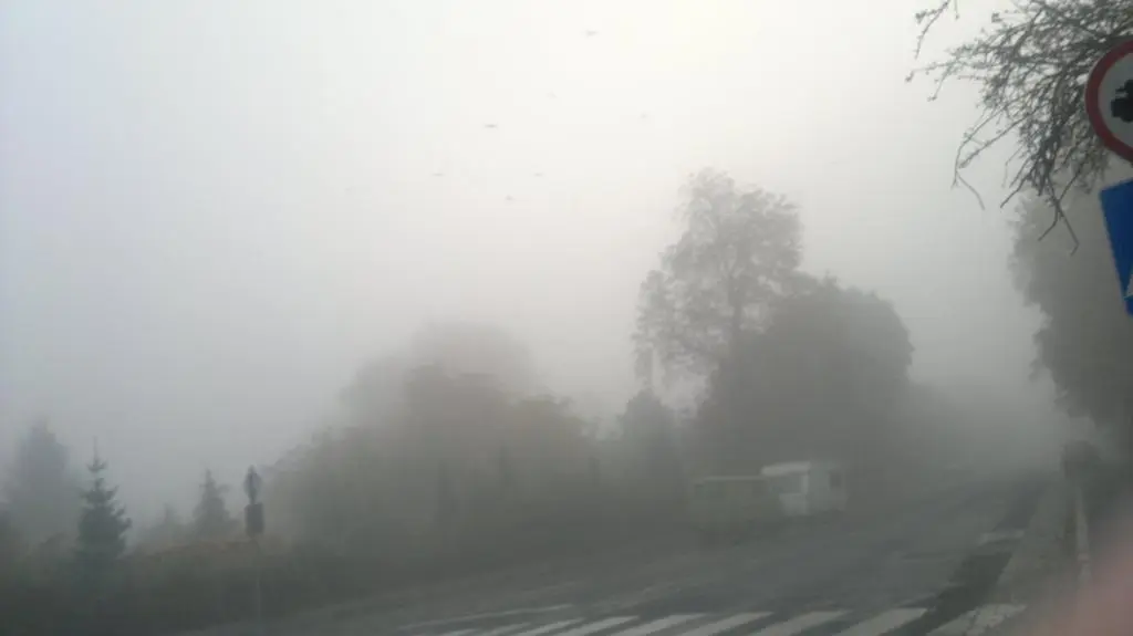 Krzyki