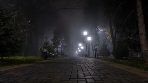 Noc, mgła, jesień