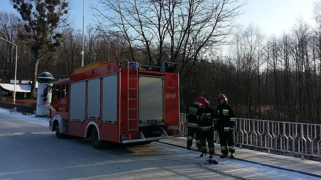 Strażacy przyjechali pomóc kaczce