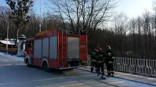 Strażacy przyjechali pomóc kaczce