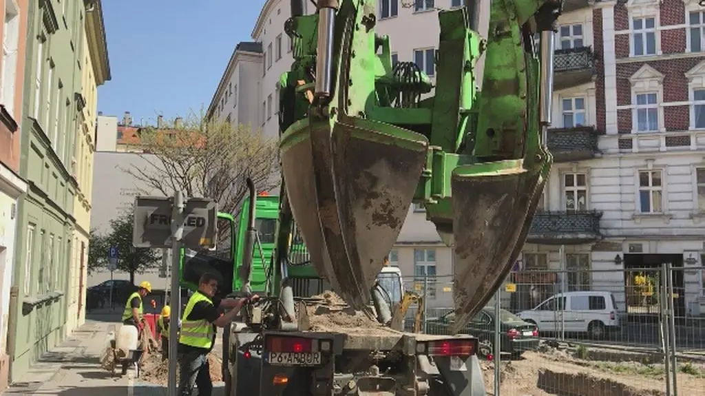 Przesadzanie drzew z placu Kolegiackiego