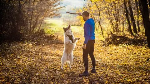 Jesień, pogodnie, słońce