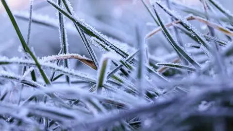 AdobeStock_297166324
